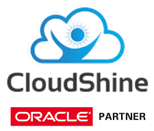 Oracle Partner